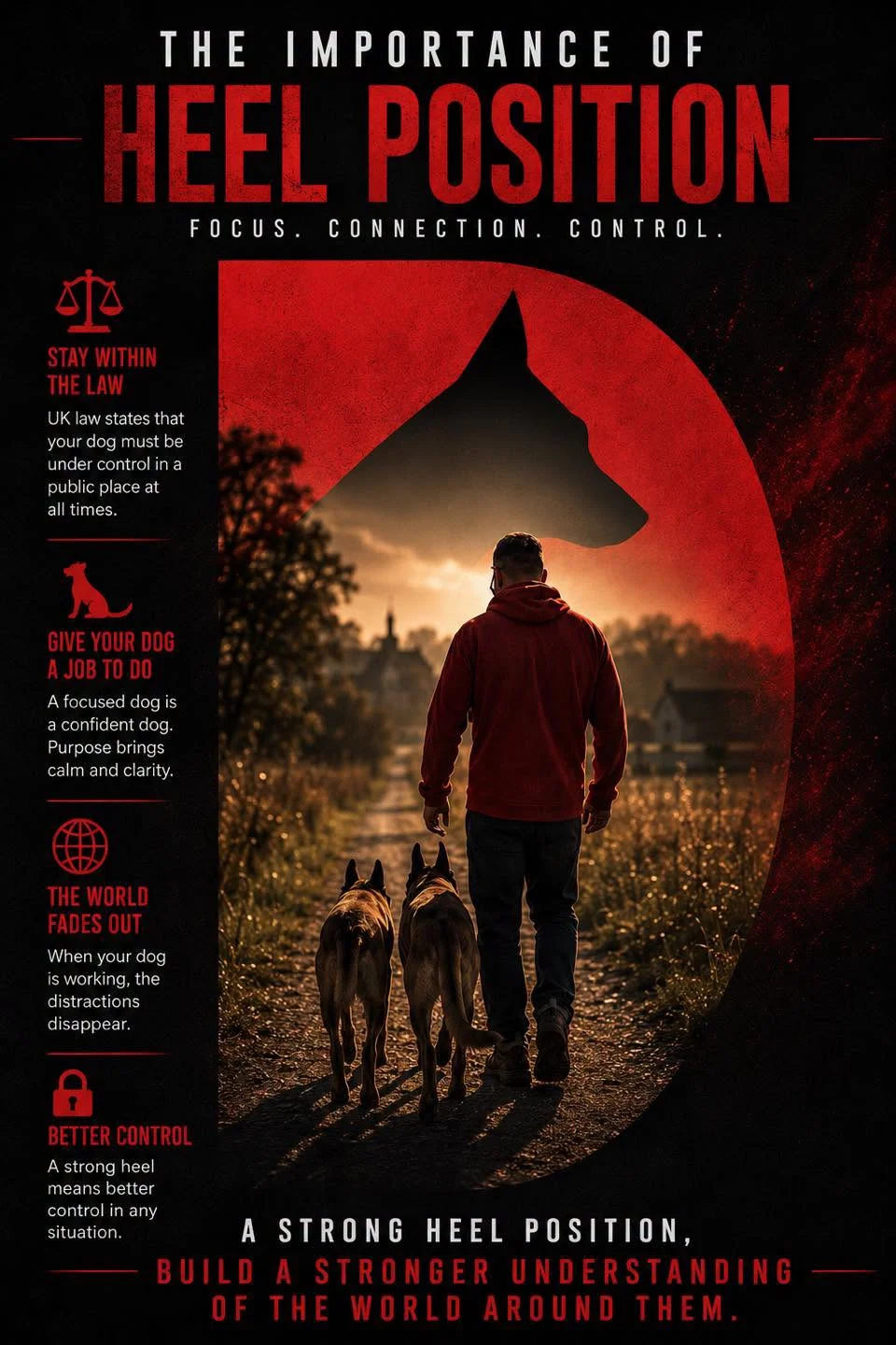 Unleashed K9 graphic: the importance of heel position. Focus, connection, control. A handler walking two dogs in heel at sunset.