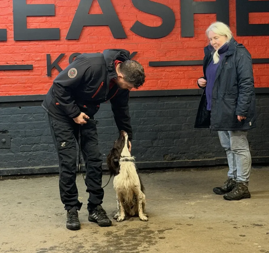 Life at Unleashed K9