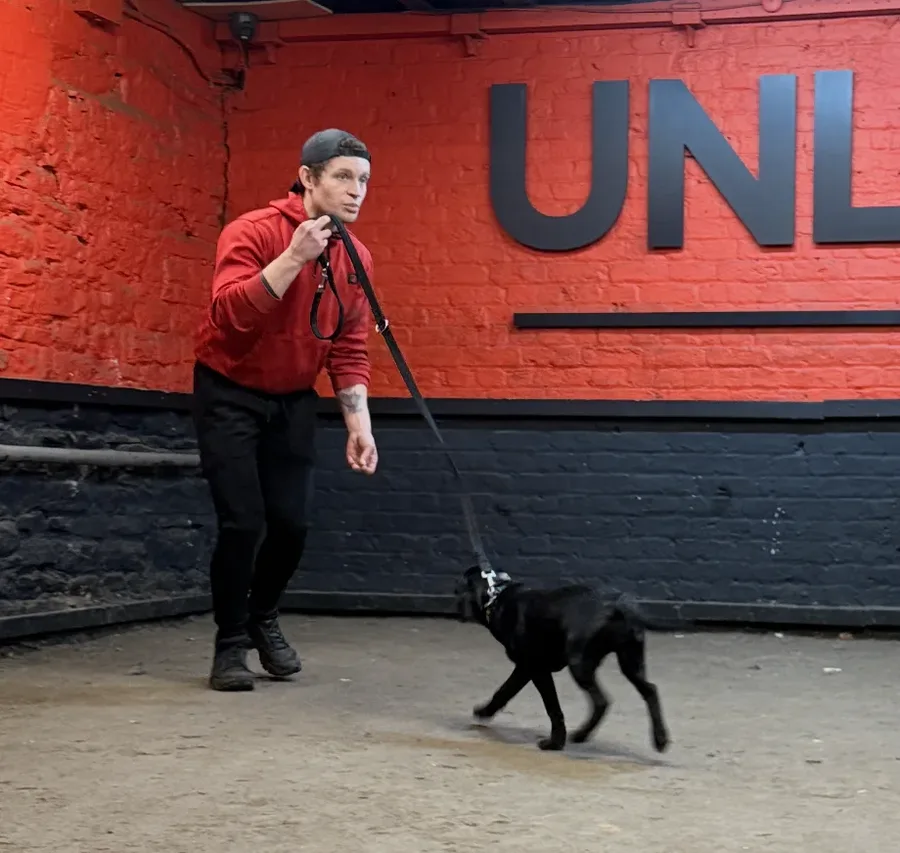 Life at Unleashed K9