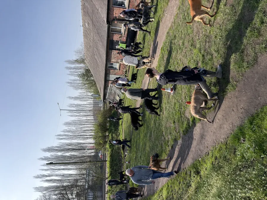 Dog training moment at Unleashed K9