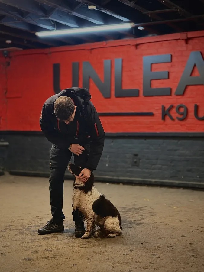 1-to-1 training session at Unleashed K9