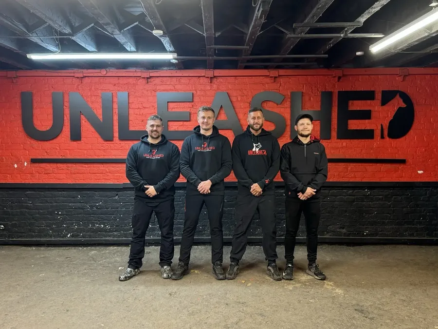 Calm German Shepherd after training