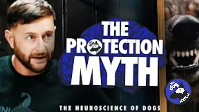 The Dog Scholar, The Protection Myth featuring Danny Wells