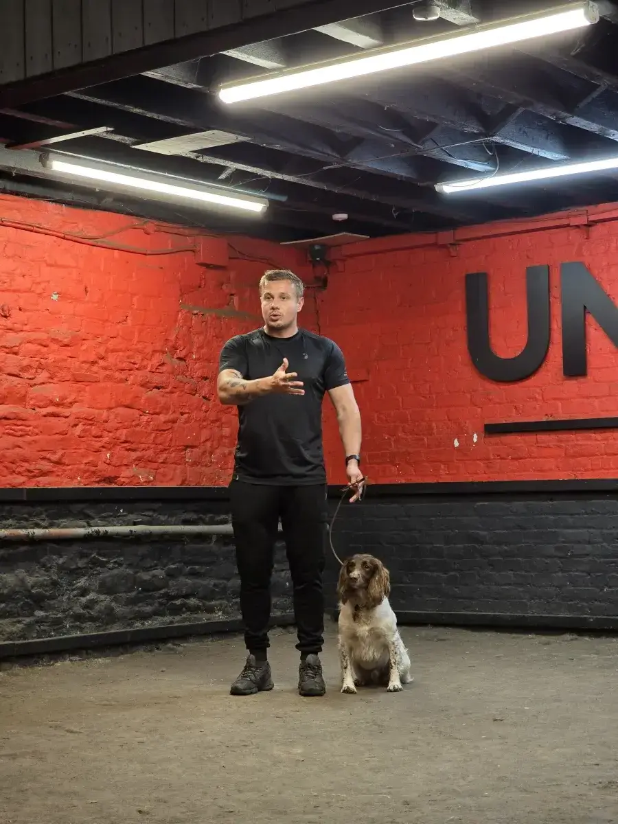 Initial assessment session with dog at Unleashed K9 St Helens
