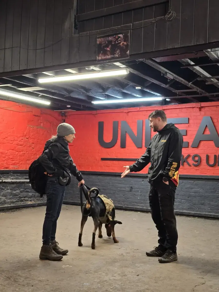 Behaviour and reactivity training in the Unleashed K9 facility