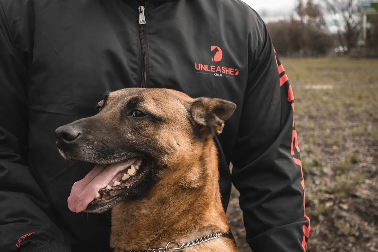 Behaviour modification session at Unleashed K9