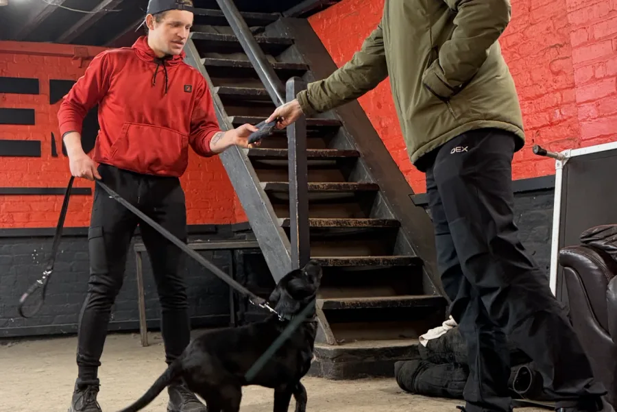 Behaviour Modification