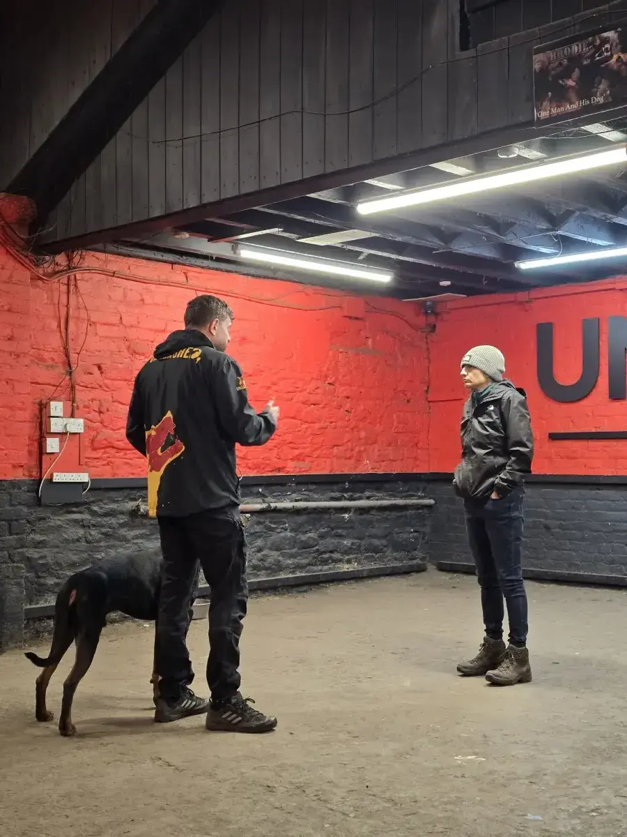 Reactive dog behaviour session at Unleashed K9 facility