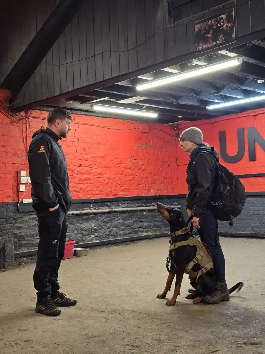 Behaviour modification session at Unleashed K9