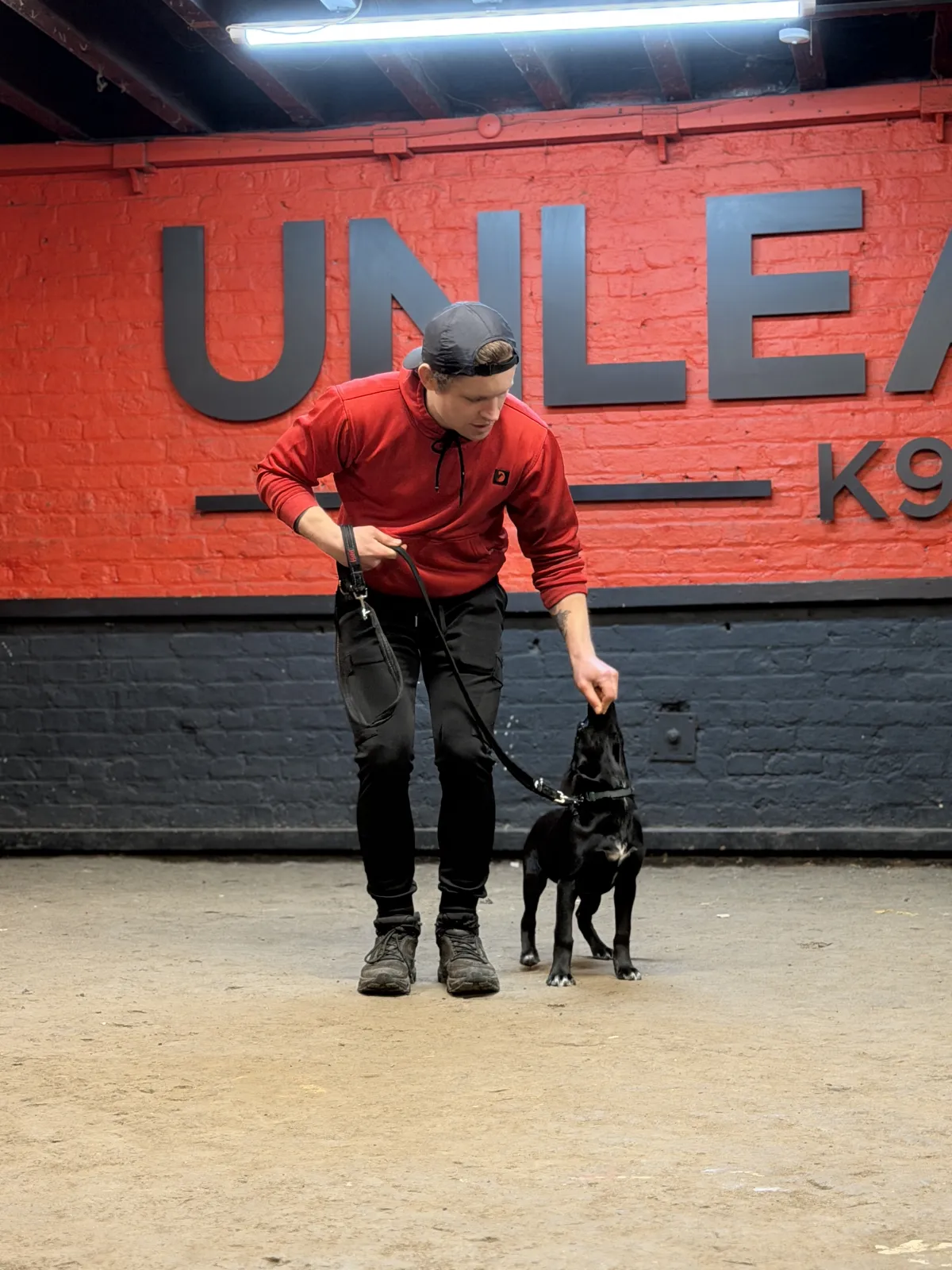Obedience training session at Unleashed K9