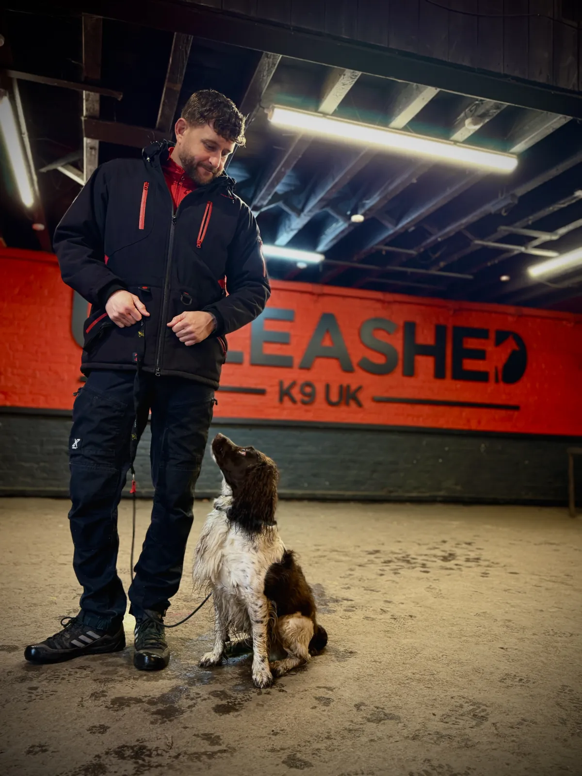 Obedience training at Unleashed K9