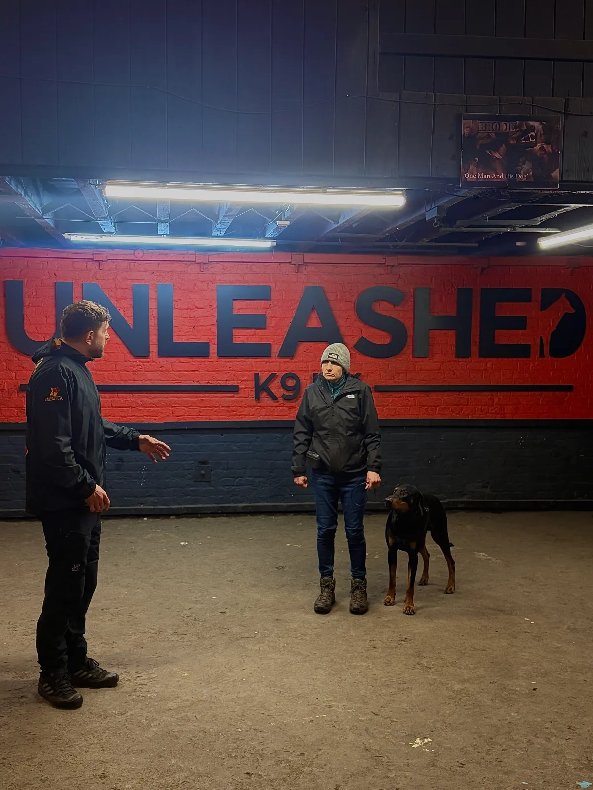 Private dog training lesson at Unleashed K9 facility