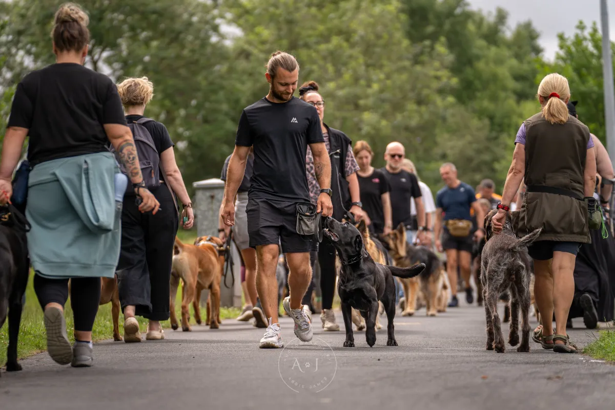 Off-lead pack walk with Unleashed K9