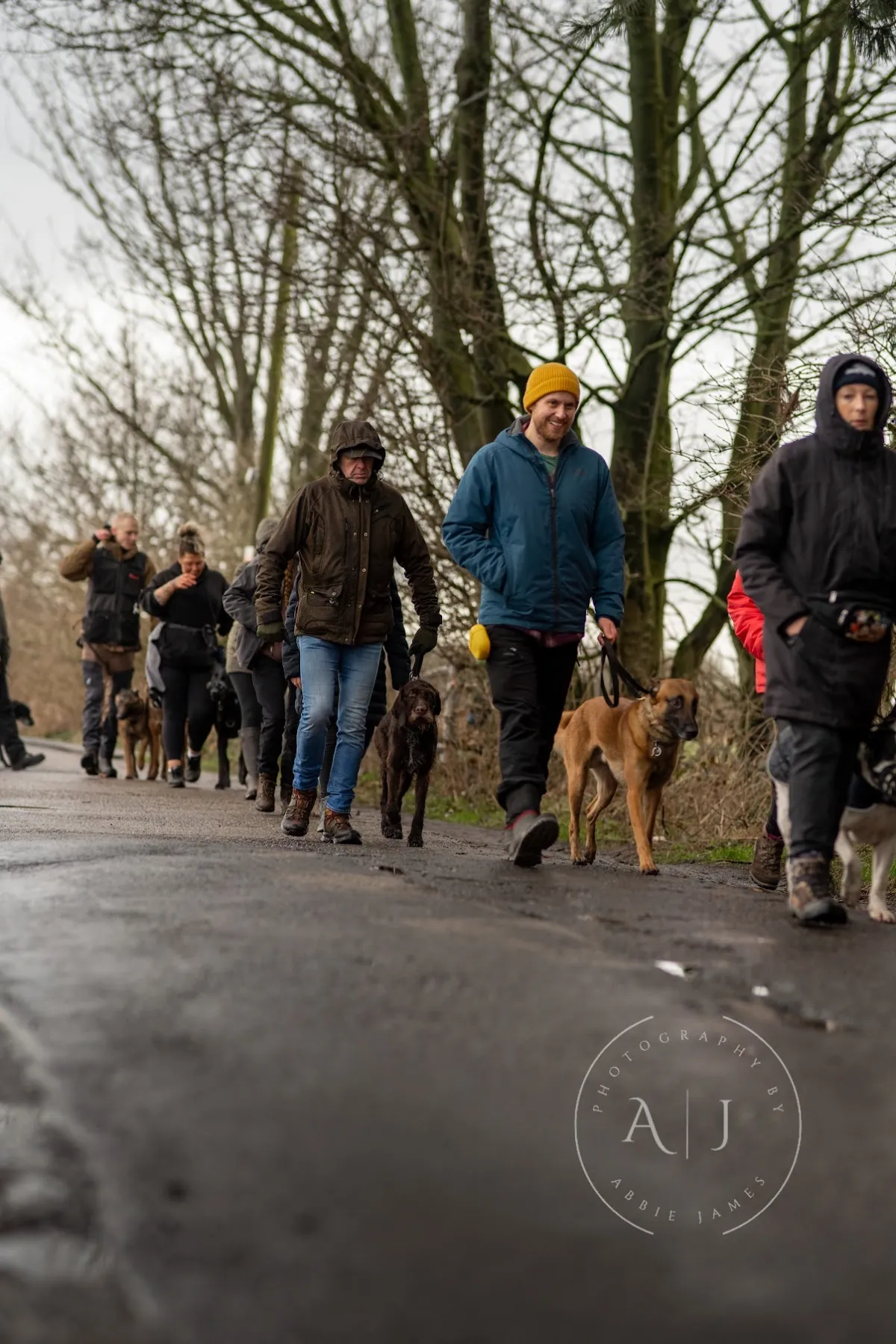 Pack walk training session