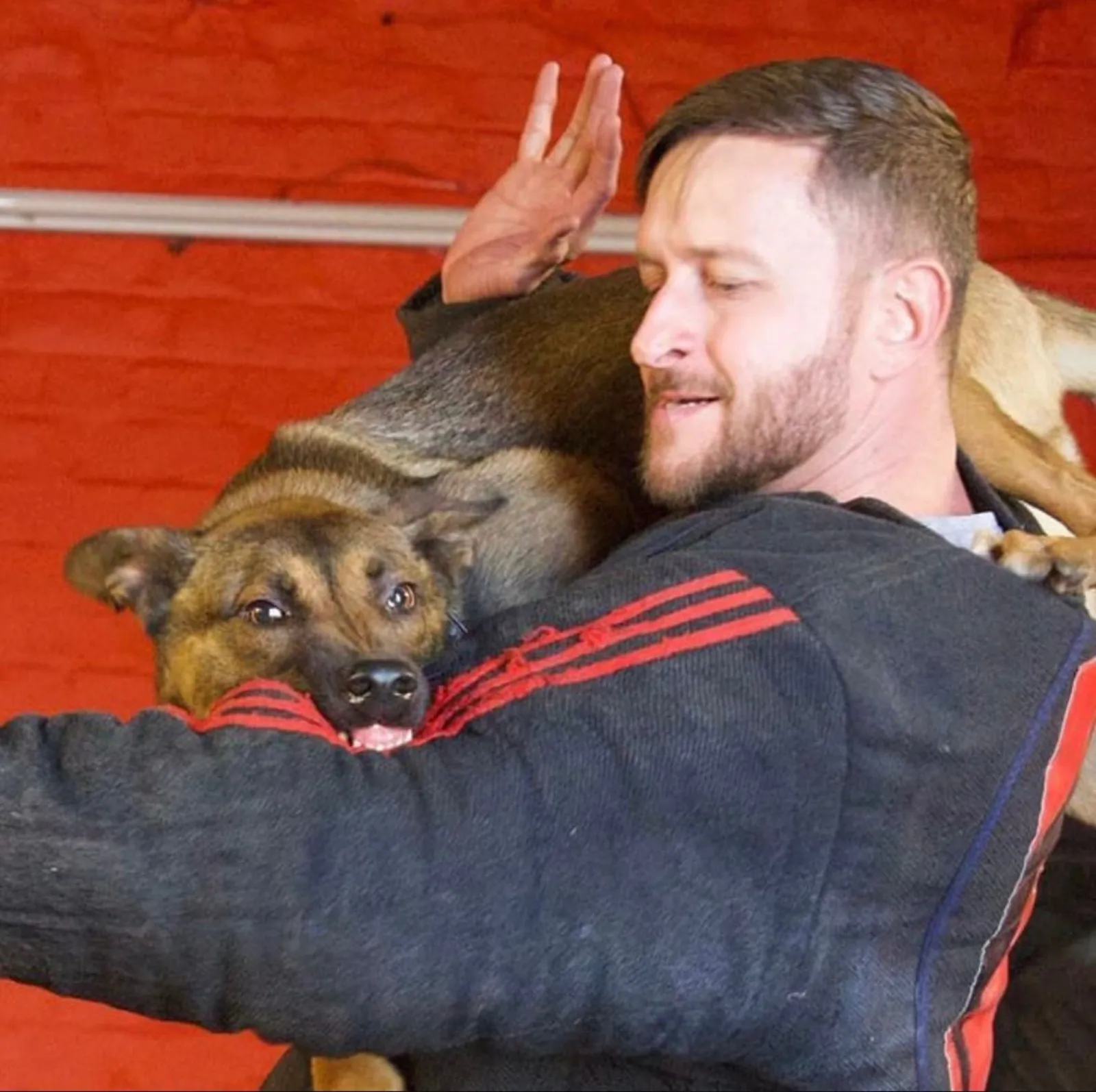 Personal protection dog training at Unleashed K9