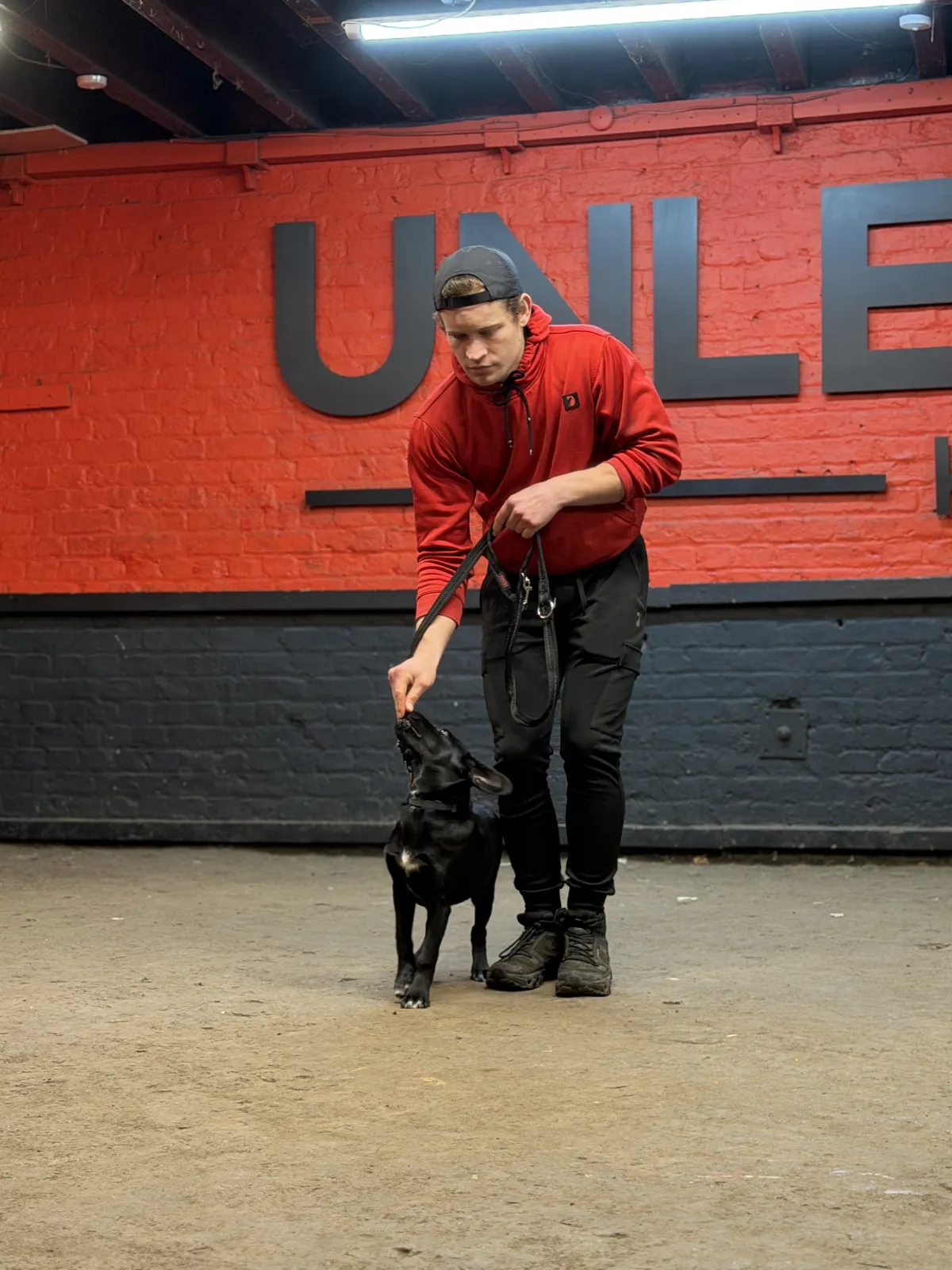 Good behaviour training at Unleashed K9