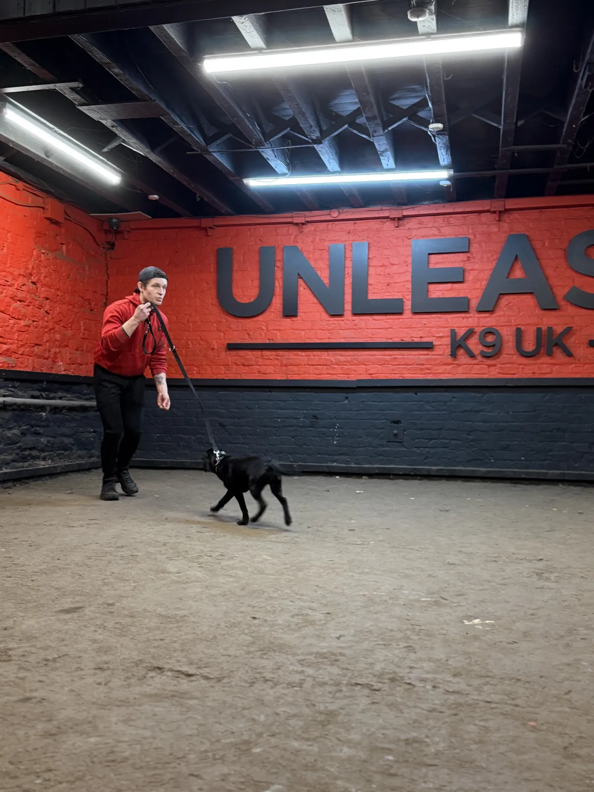 Puppy training session at Unleashed K9