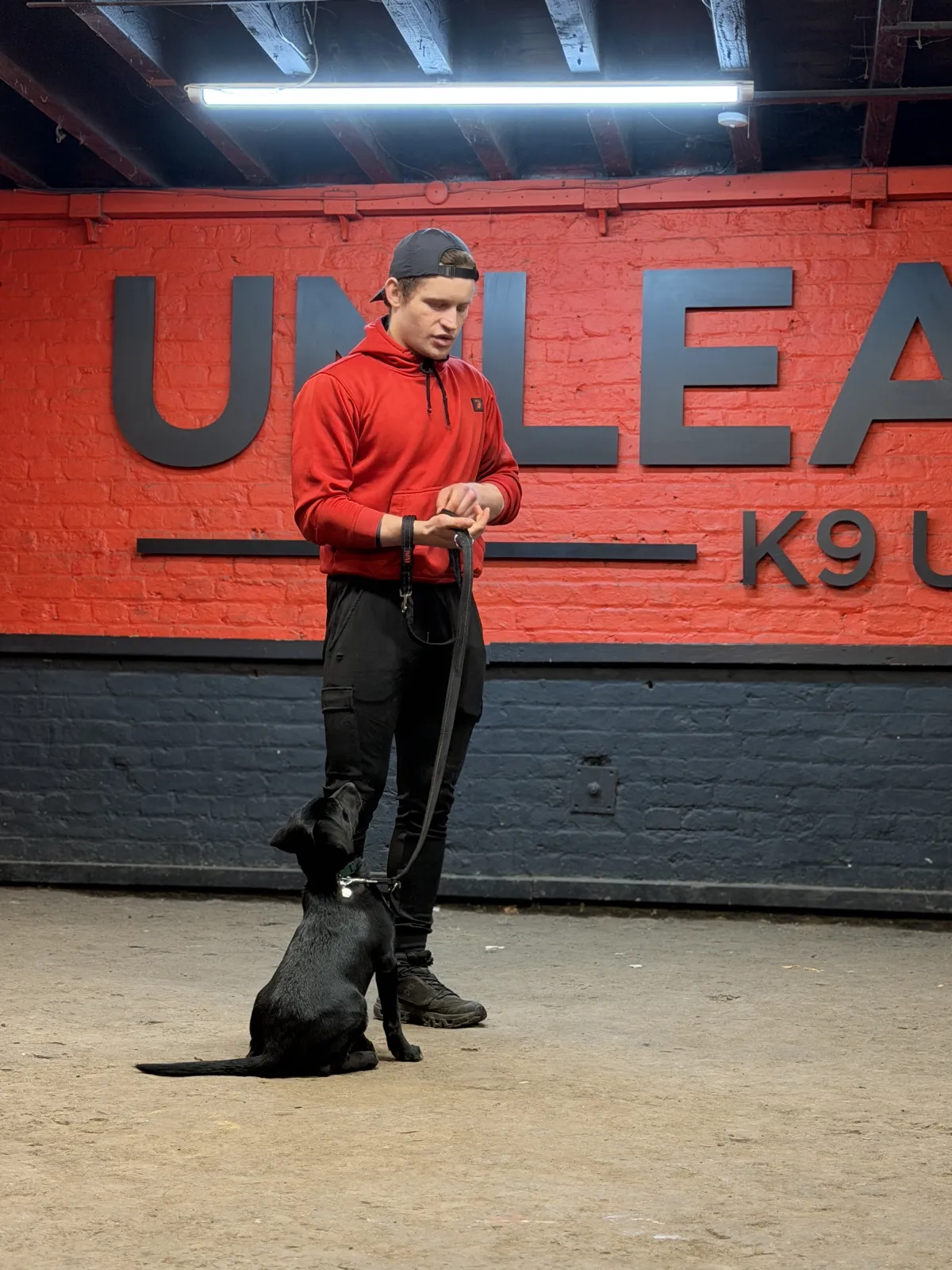 Robbie working with rescue dog